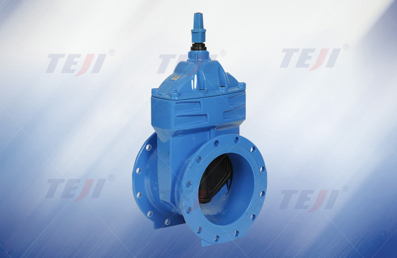 Drive cap gate valve