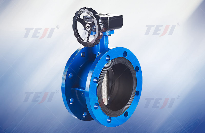 Soft seal flange butterfly valve