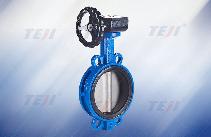 Soft seal butterfly valve