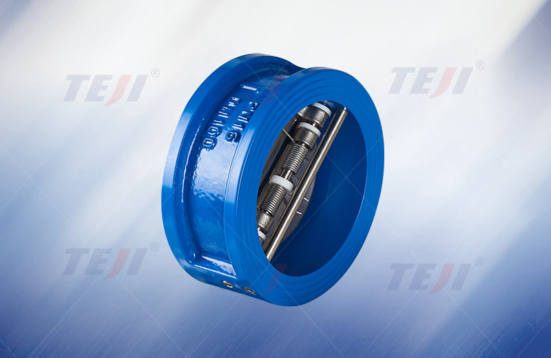 Wafer check valve