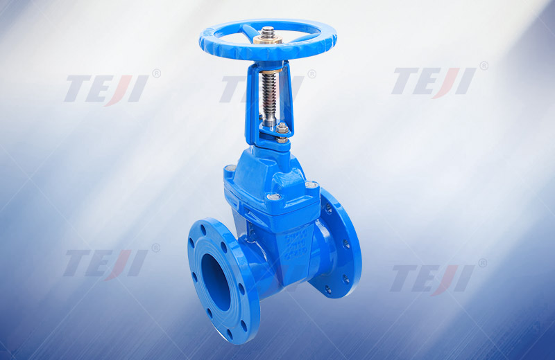 Soft seal rising stem gate valve