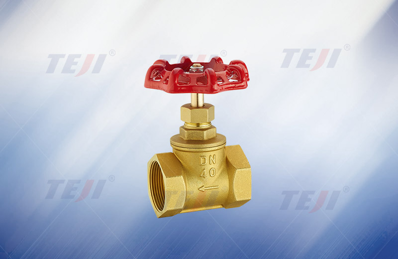 Brass wire port globe valve