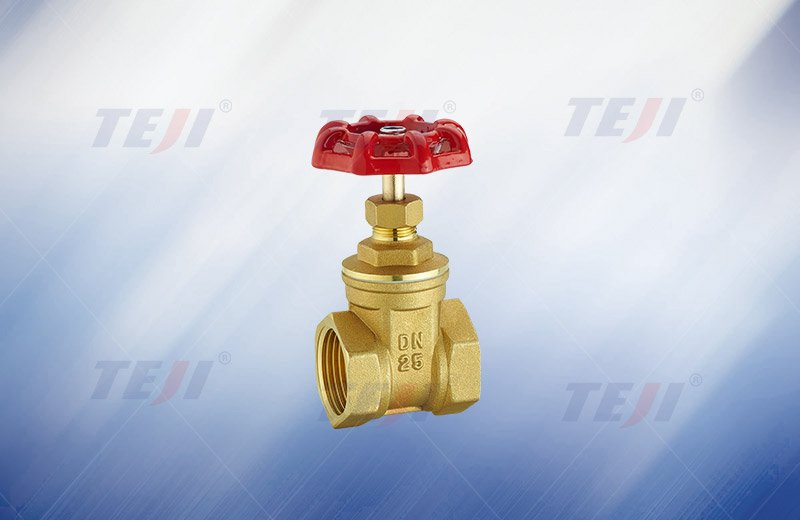 Brass wire mouth gate valve